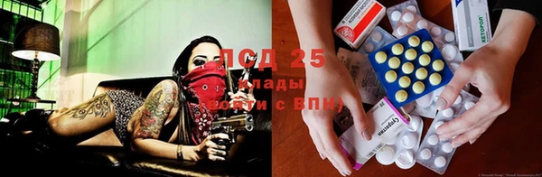 прущая мука Арсеньев