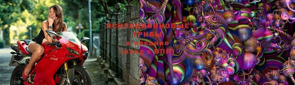 MDMA Premium VHQ Аркадак